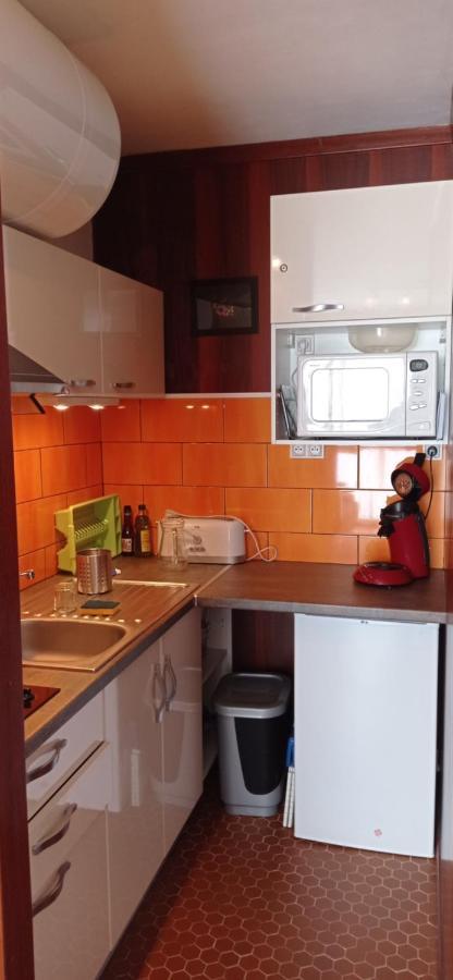 Appartement St Lary Soulan Pied Des Pistes Сен-Лари-Сулан Экстерьер фото